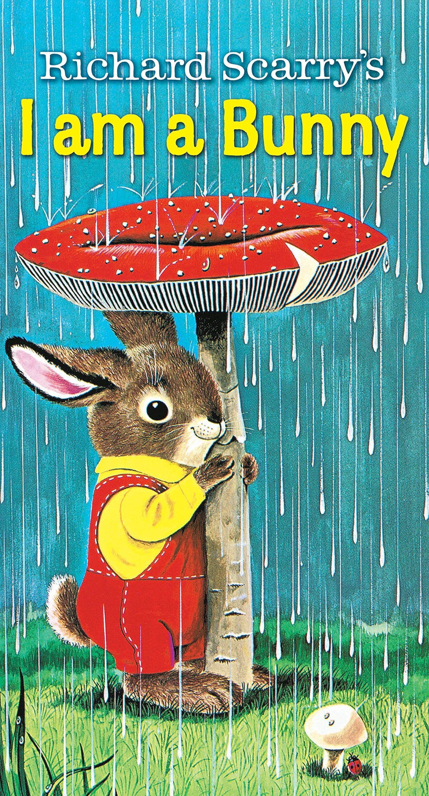 I Am A Bunny Board Book