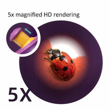 Load image into Gallery viewer, Science Can 3D Fish &amp; Insect Viewer
