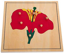 Load image into Gallery viewer, Montessori Wooden Peg Puzzles